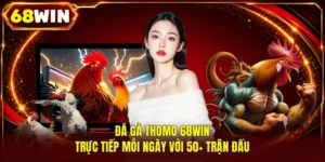 Đá Gà Thomo 68WIN | Trực Tiếp Mỗi Ngày Với 50+ Trận Đấu